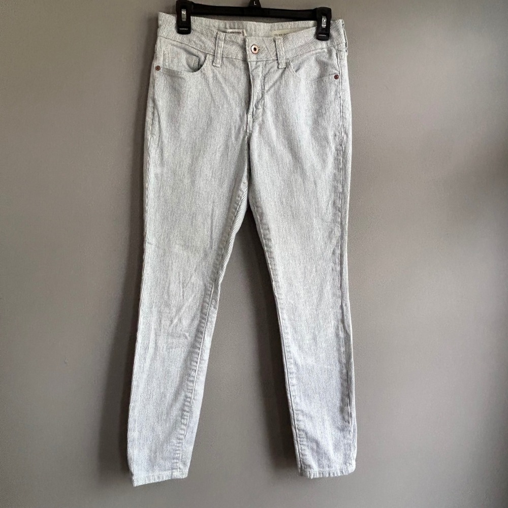 Pilcro and the Letterpress Anthropologie Striped Mid-Rise Skinny Pants Blue 27